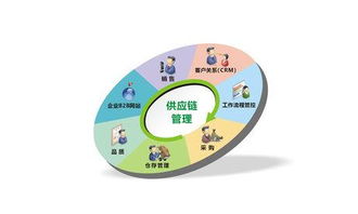專業(yè)供應鏈管理服務 上海卓昕瑞供應鏈管理解析